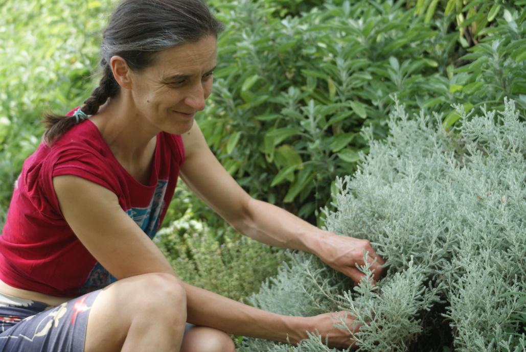 Immersion au pays des plantes à parfum
