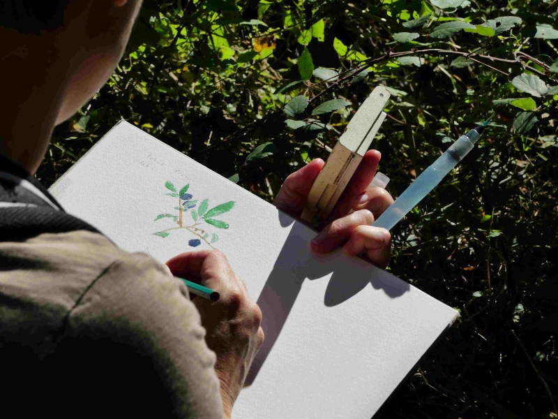 Initiation aquarelle au printemps