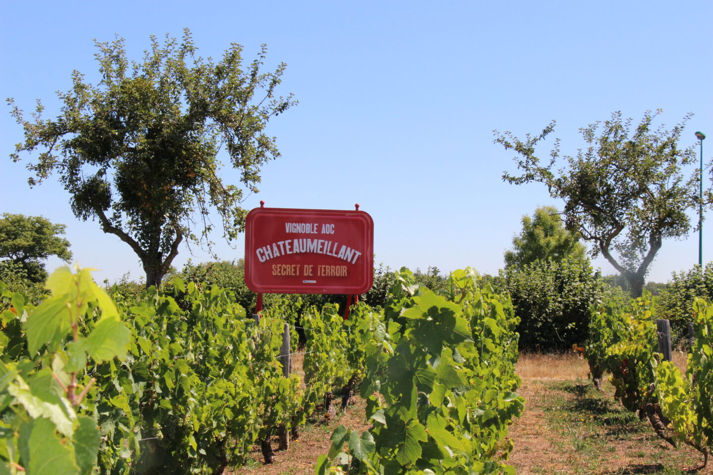 Itinéraire découverte à vélo VTT (Vignes tout terrain) Châteaumeillant Centre-Val de Loire Itinéraire découverte à vélo VTT (Vignes tout terrain) Châteaumeillant Centre-Val de Loire