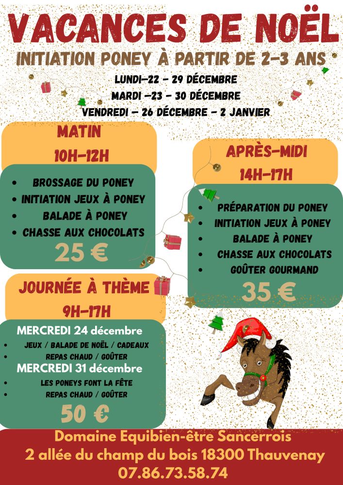 Journée à Thème Les poneys font la fête