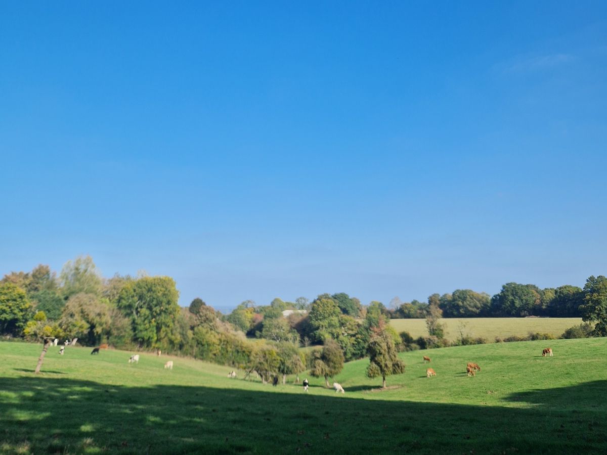 La boucle Notre-Dame Auberville Normandie