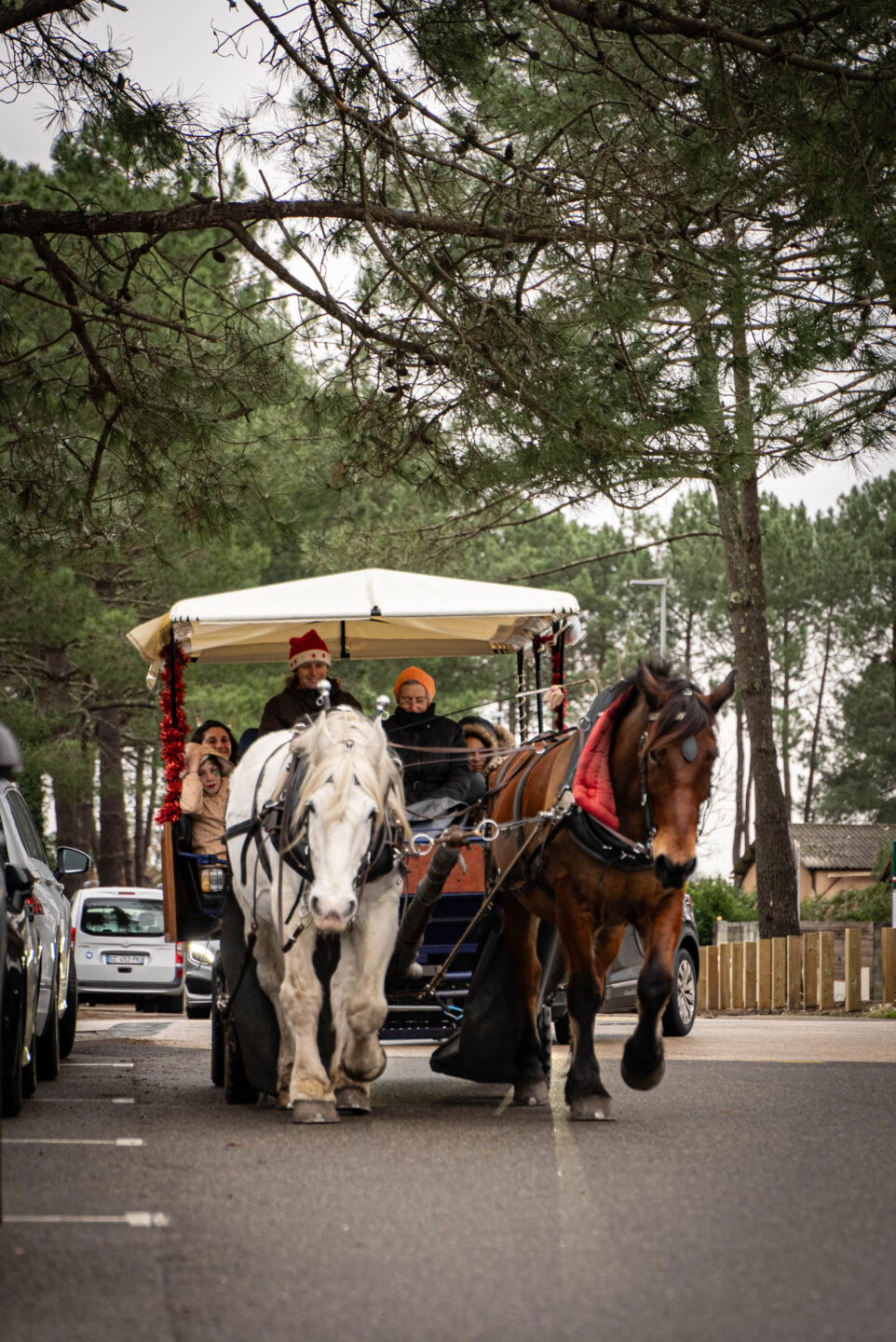 La calèche de Noël ● Noël 2025