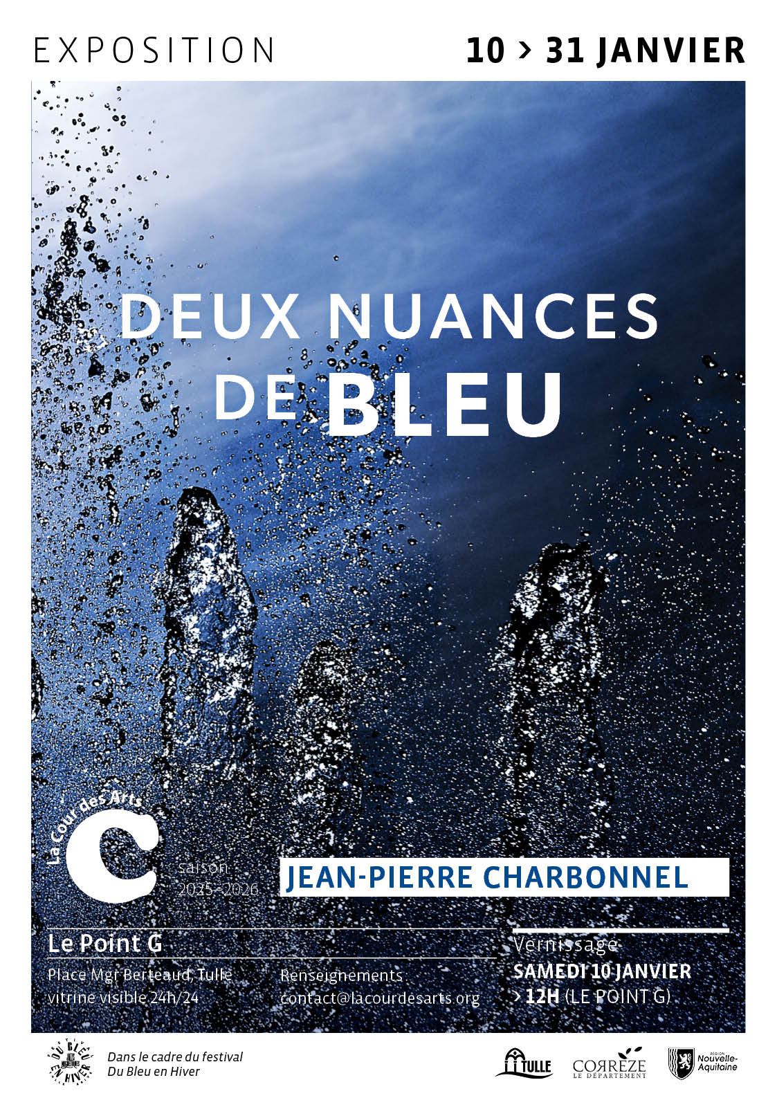 La Cours des Arts Exposition Deux nuancesde Bleu