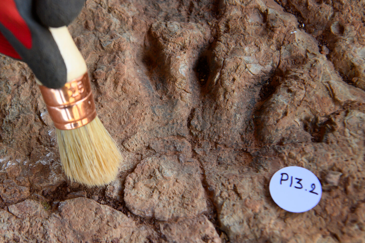 LA DALLE DE LA LIEUDE