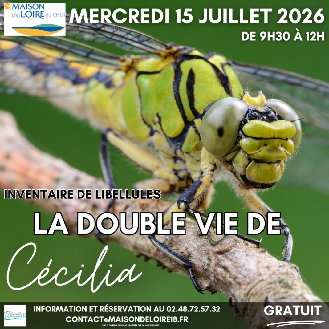 La double vie de Cécilia découverte et inventaire des libellules Belleville-sur-Loire