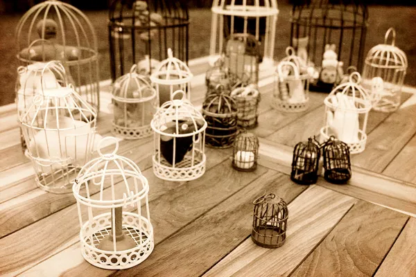 La fabuleuse ménagerie