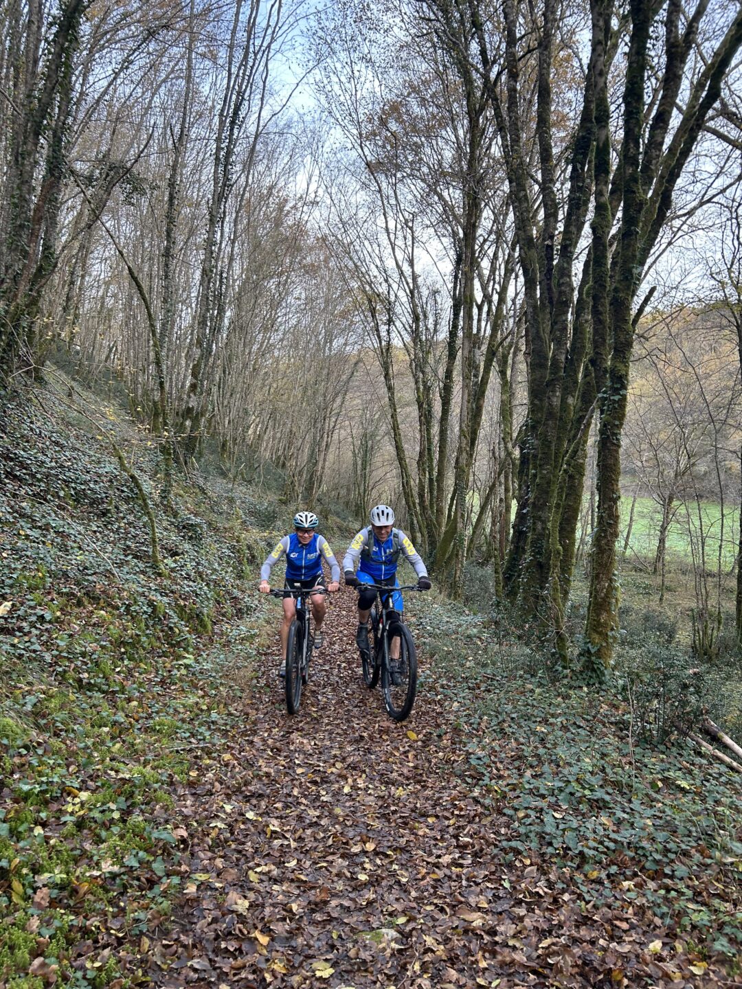 La Gourdonnaise Verte