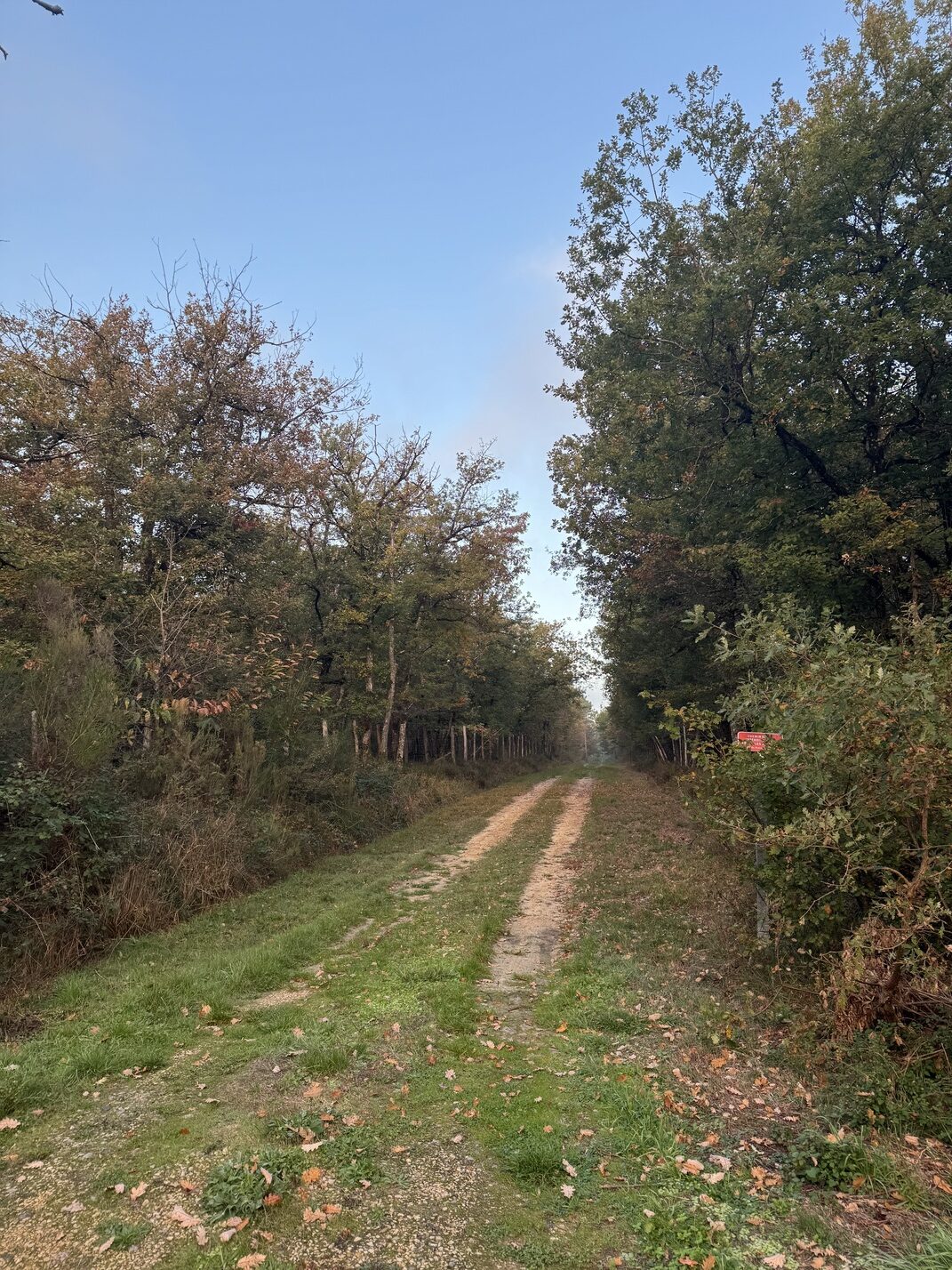 La Trans-mairéenne Mairé Nouvelle-Aquitaine