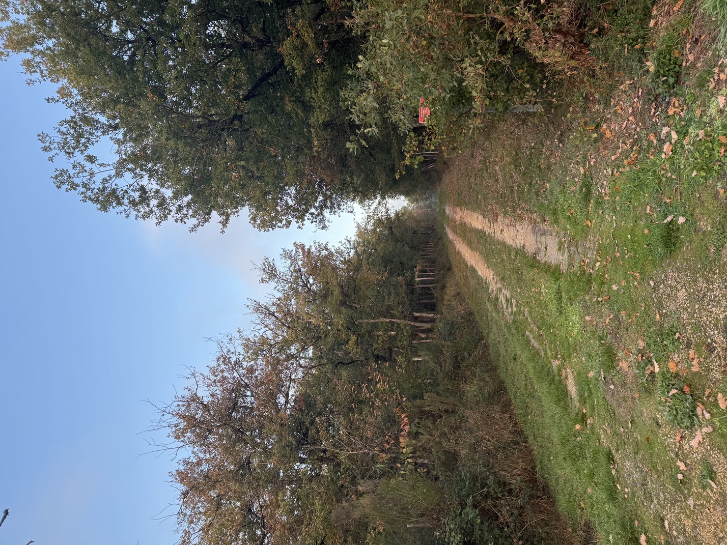 La Trans-mairéenne Mairé Nouvelle-Aquitaine