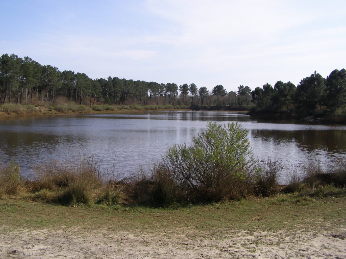 Le canal des étangs Lège Lège-Cap-Ferret Nouvelle-Aquitaine