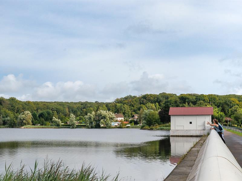 Le circuit des Roseaux Puttelange-aux-Lacs Grand Est