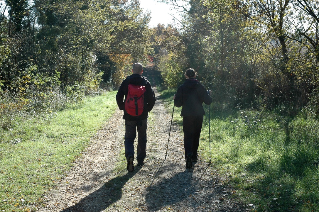 Le circuit des vignes et du plan d'eau Lignières Centre-Val de Loire