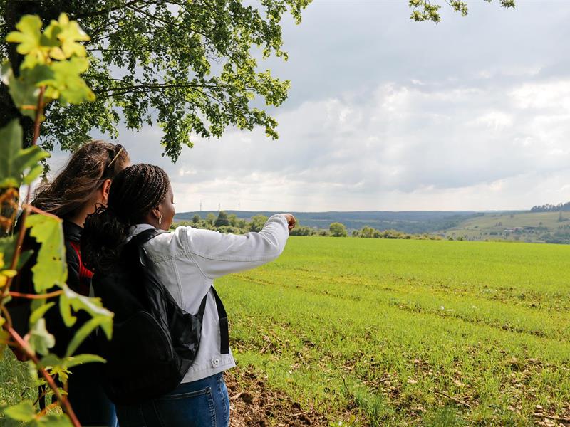 Le Langenberg Zetting Grand Est Le Langenberg Zetting Grand Est