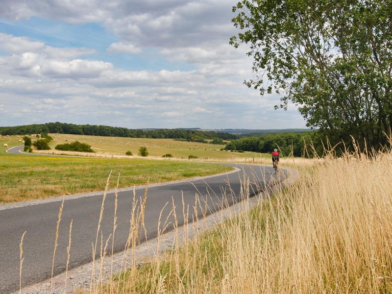 Le Lion Couronné Hambach Grand Est