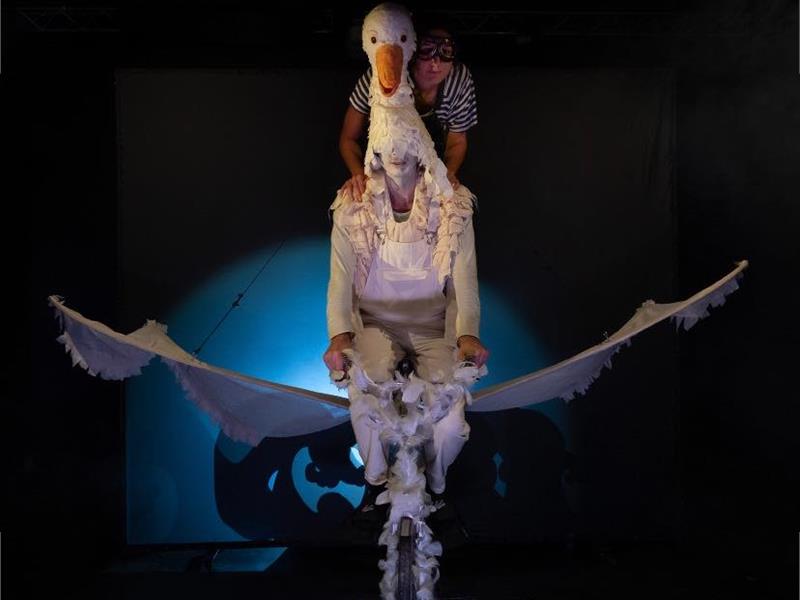 Le merveilleux voyage de Nils