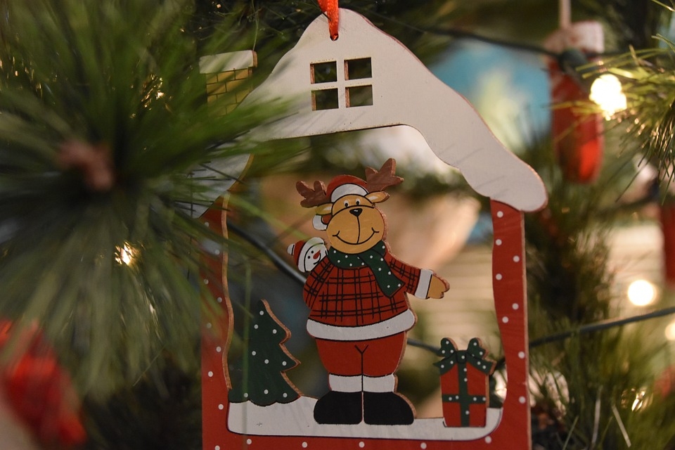 Le Noël de la ferme Les Minis Pattes