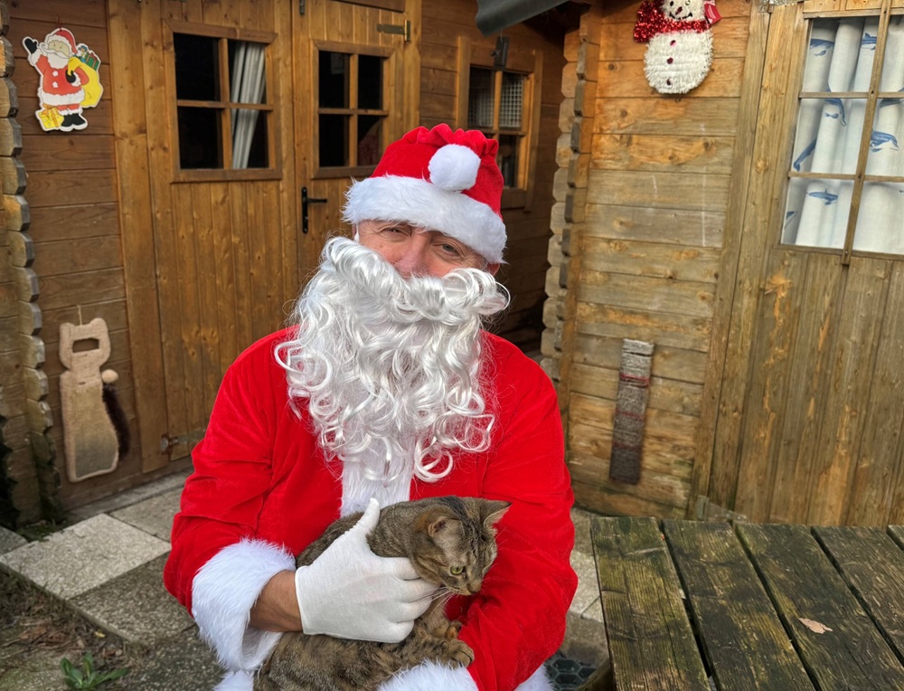 Le Noël des Andernochats