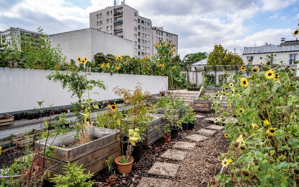 Le rendez-vous du jardinier - Janvier 2026 Maison du Jardinage et du Compostage  PARIS
