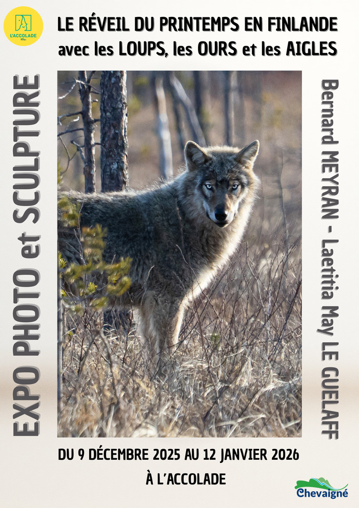 Le réveil du printemps en Finlande