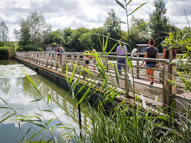 Le tour de l'Étang du Welschhof Puttelange-aux-Lacs Grand Est