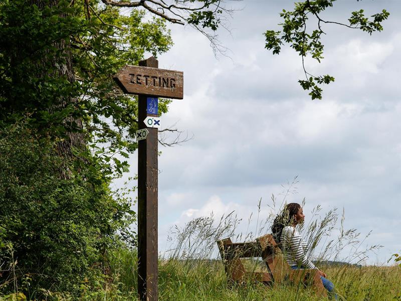 Le Zettingerwald Zetting Grand Est Le Zettingerwald Zetting Grand Est