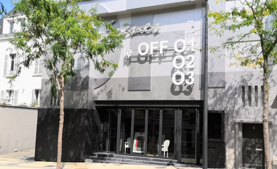 Lectorale Bovary c'est qui ? Femme reconstruite ou homme déconstruit ? [Flaubert 2 -le retour]