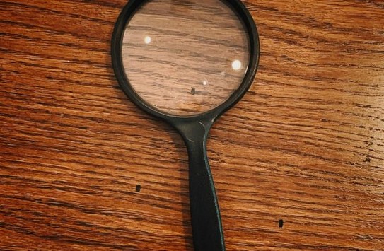 L’ENLUMINEUR DISPARU COUP DE PINCEAU DANS LE DOS !