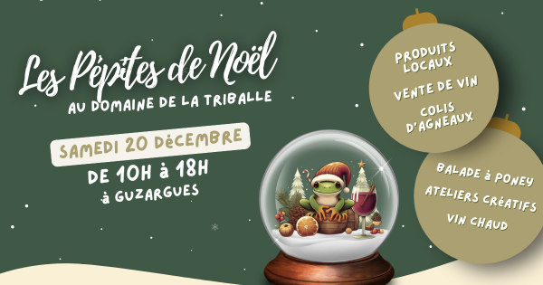 LES PÉPITES DE NOËL