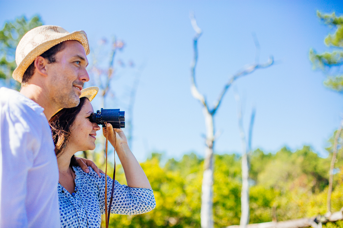 Les Près-Salès d'Arès et de Lège Réserve Naturelle Lège-Cap-Ferret Nouvelle-Aquitaine