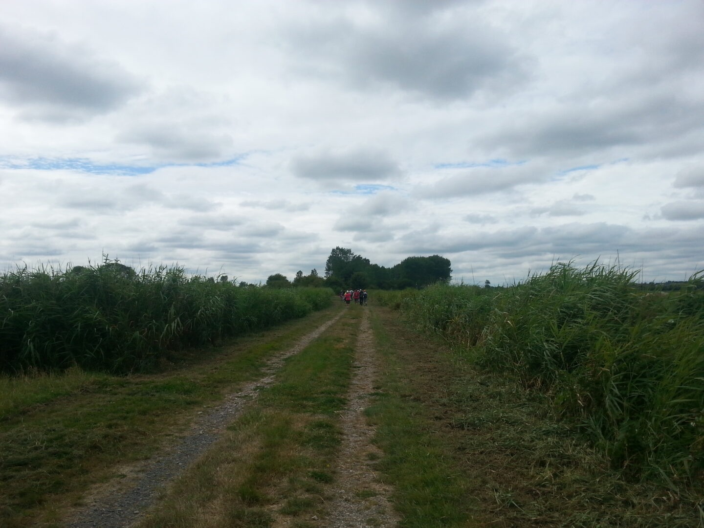 Les randonnées hivernales 2026