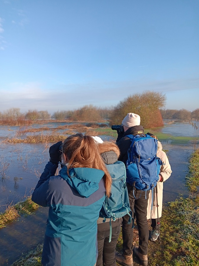 Marais blancs et oisaux hivernants