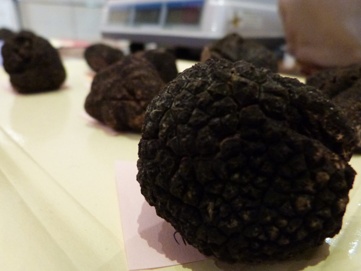 Marché aux truffes fraîches et contrôlées