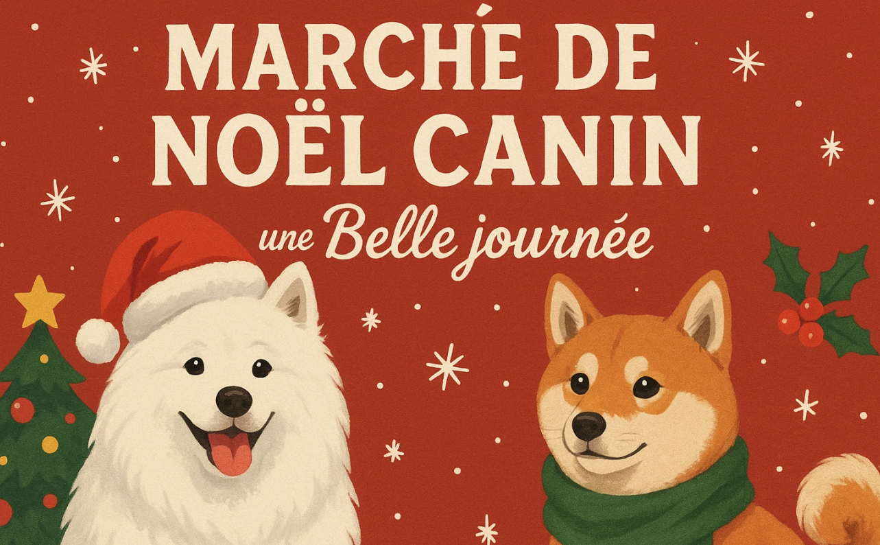 MARCHÉ DE NOËL CANIN