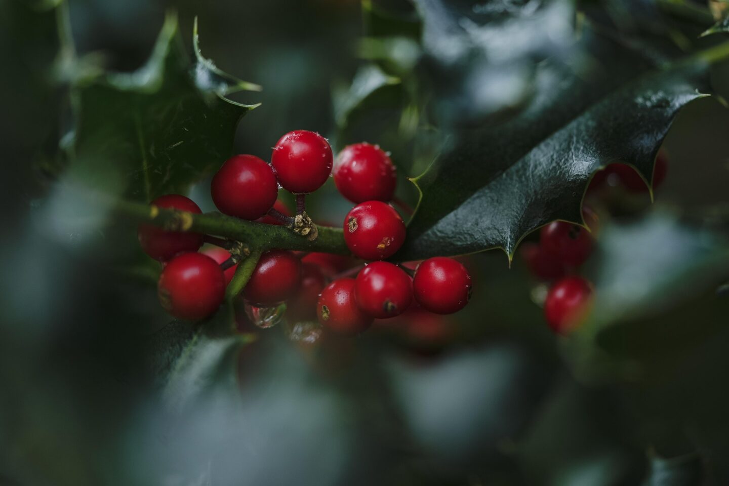 MARCHÉ DE NOËL DU QUARTIER GARE