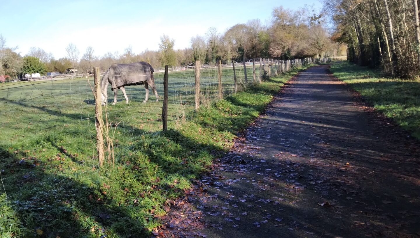 Marche en plaine (Téléthon)