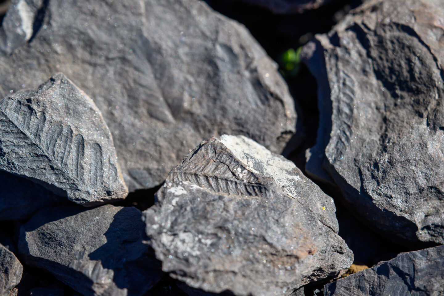 MÉDIATION EXPOSITION POUR ENFANT LES MERCREDIS DE LA GÉOLOGIE