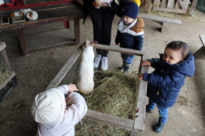 Mes 1ères bottes Nourrissage des animaux de la ferme