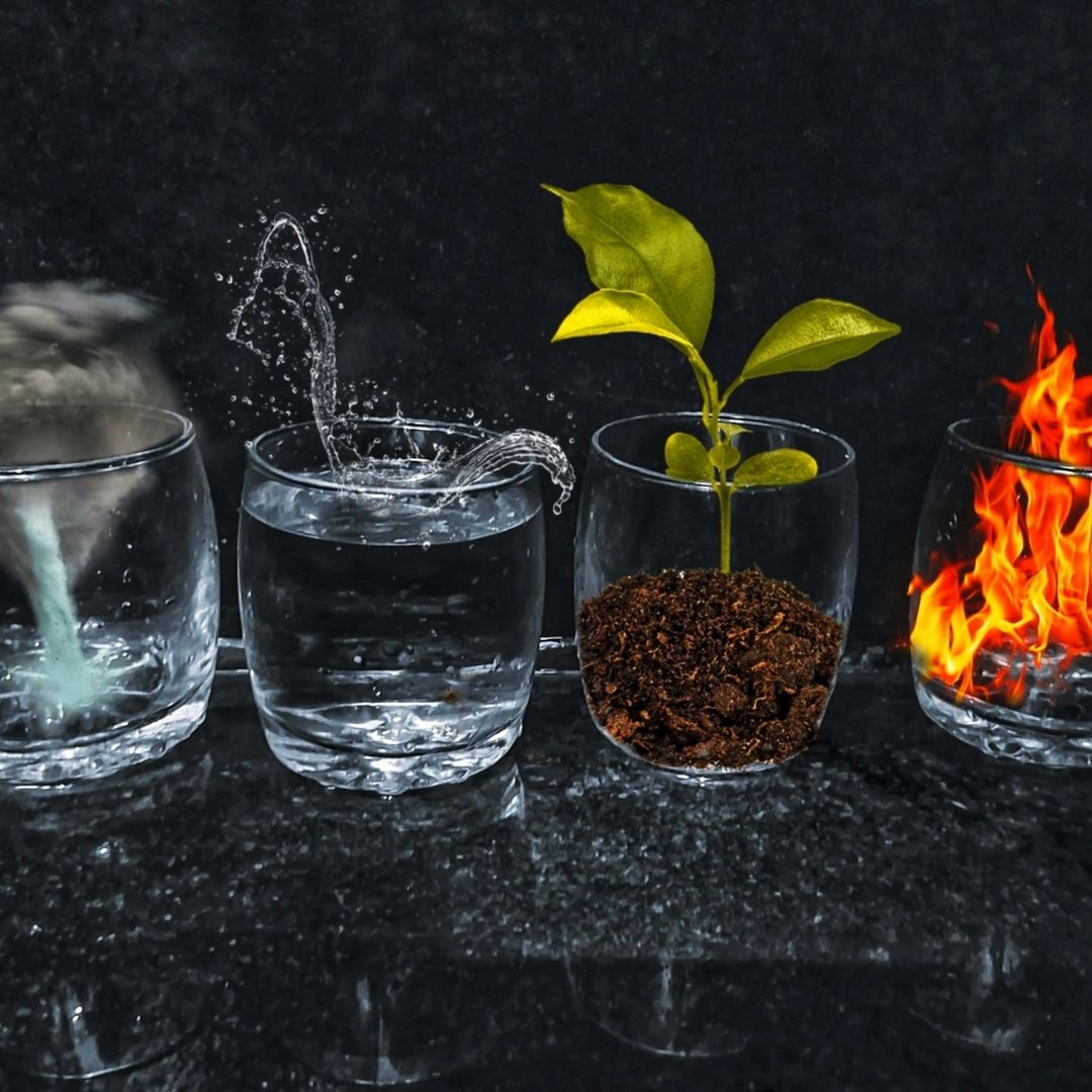 Mes premiers pas au musée Dis-moi