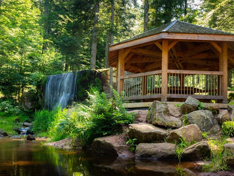 Micro-aventure l'échappée sauvage entre forêts mystiques et patrimoines cachés Saint-Dié-des-Vosges Grand Est