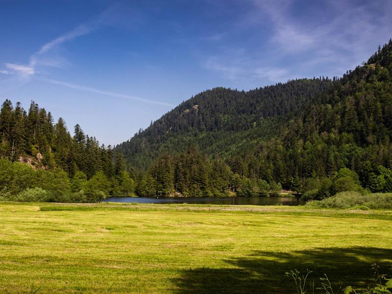 Micro-aventure L'échappée vers les Ô des lacs aux sommets Gérardmer Grand Est