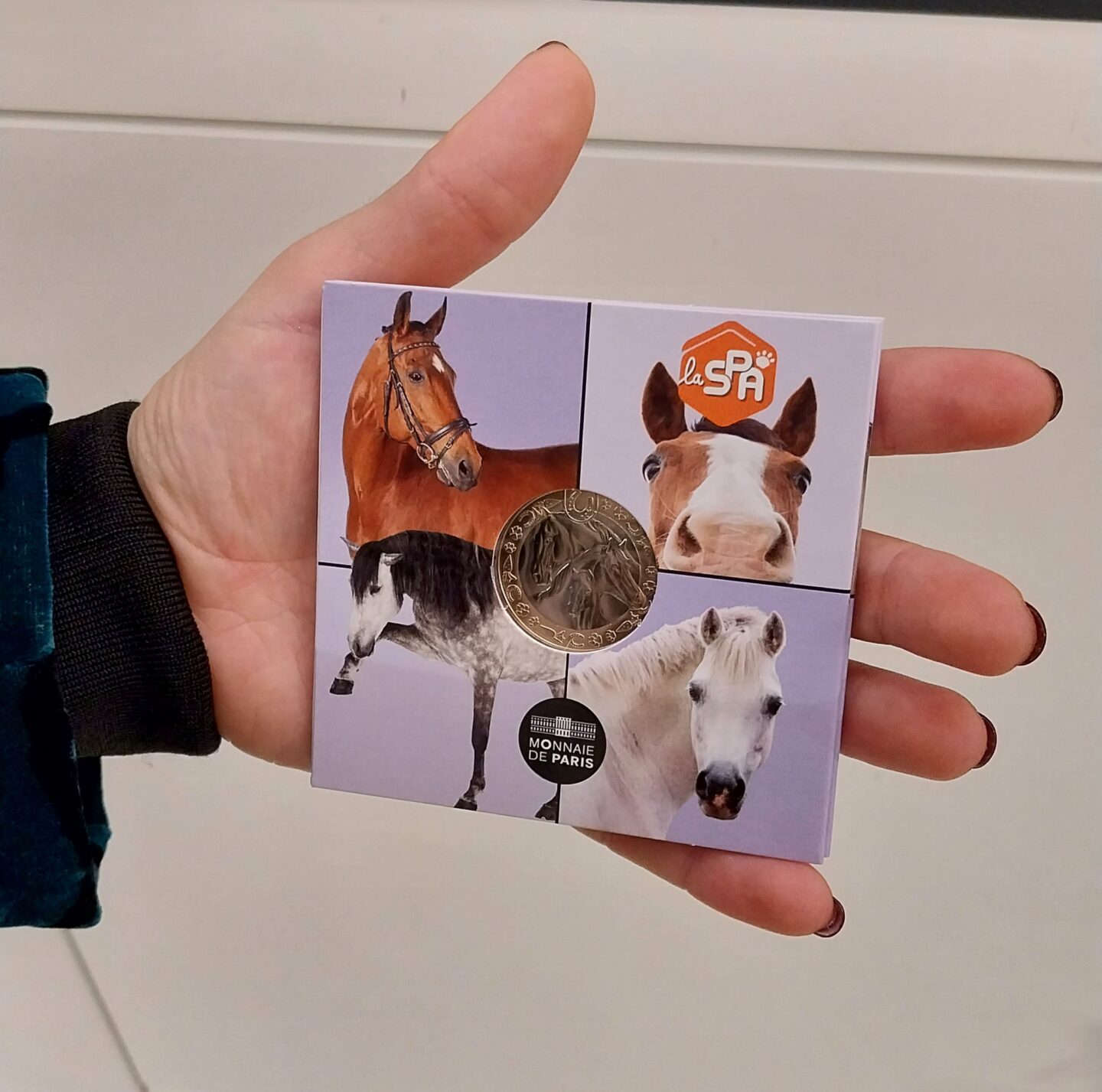 monnaie de Paris - SPA