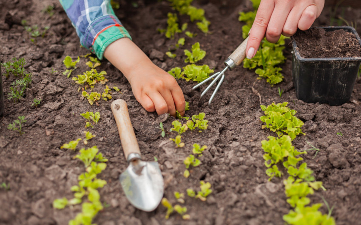 Nature à Paris : le programme