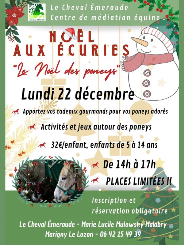 Noël aux écuries > Cheval Emeraude