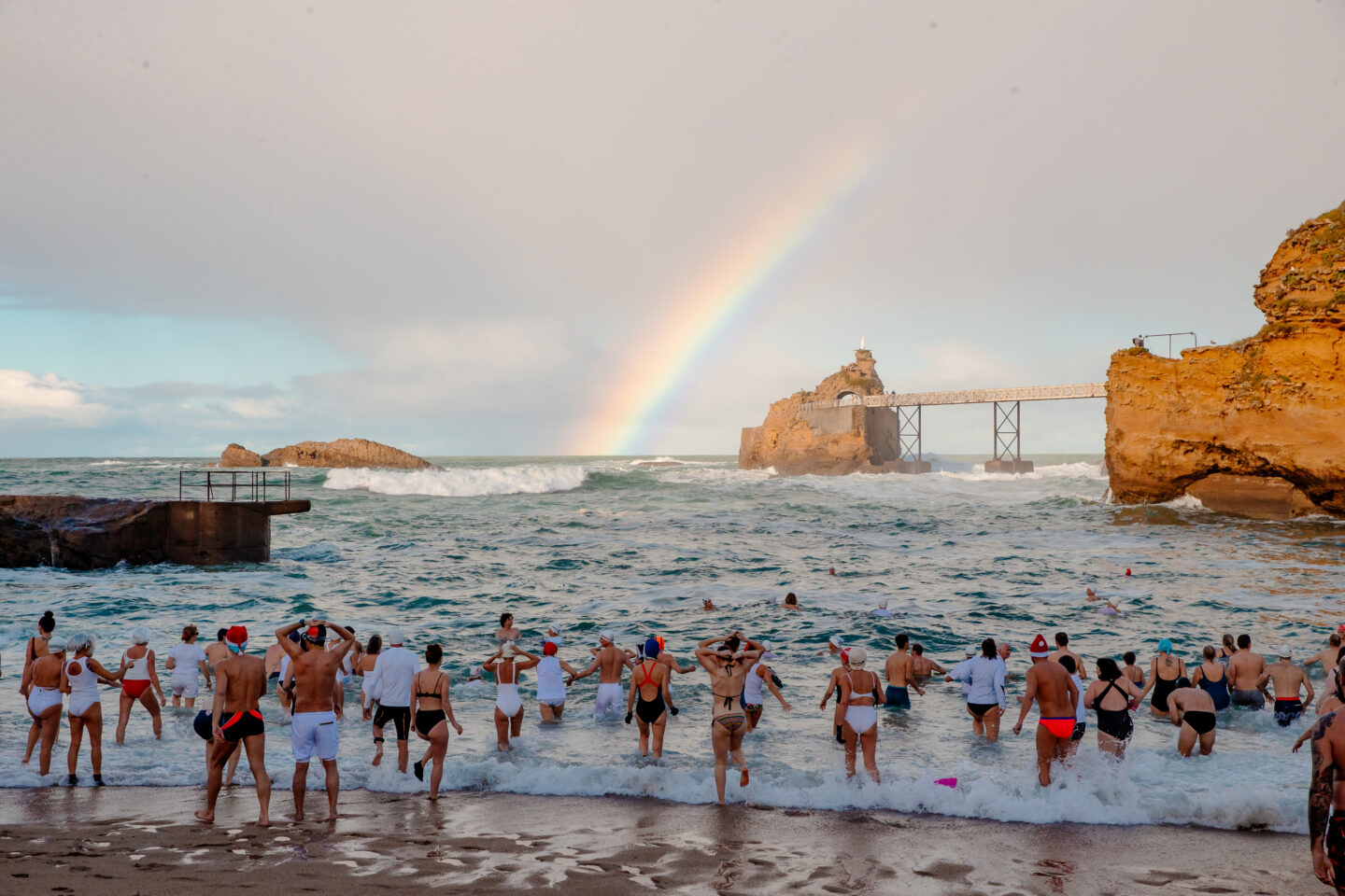 Noël avec les Ours Blancs
