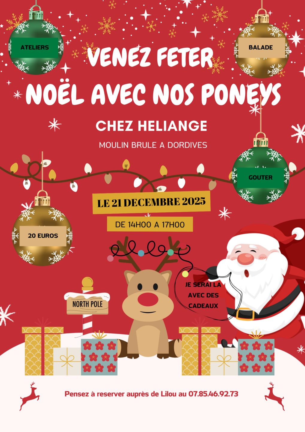 Noël avec les poneys