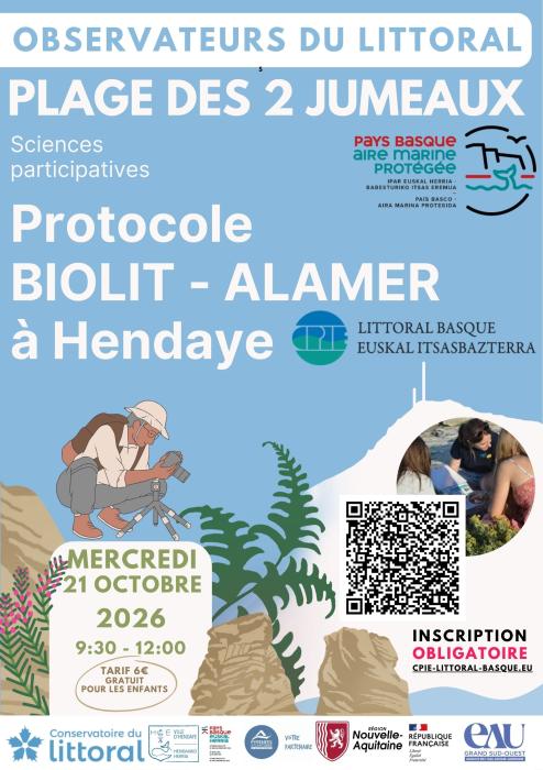 Observateurs du Littoral découvrez la richesse de la biodiversité de l’estran rocheux.