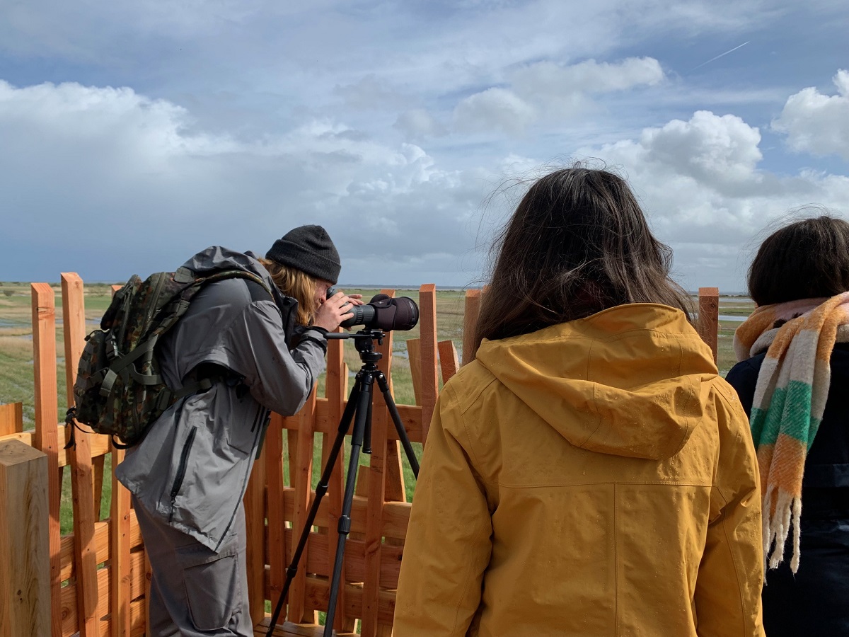 Oiseaux hivernants de la Réserve de Beauguillot