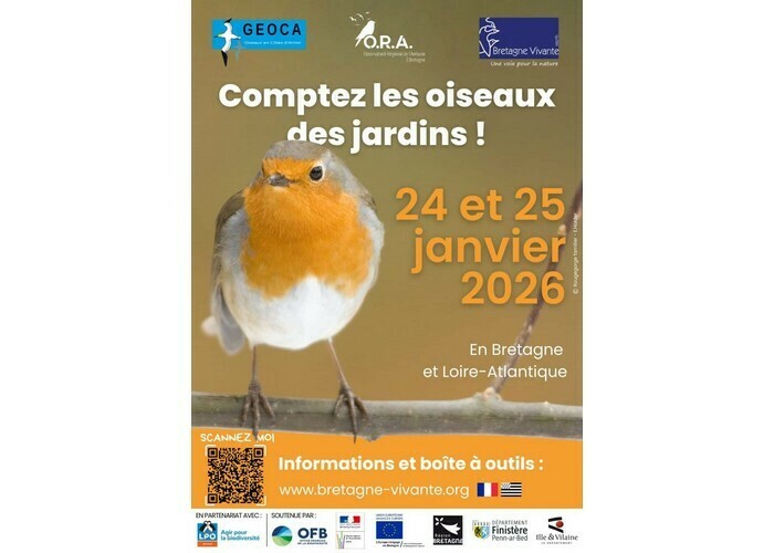 Opération Comptage des Oiseaux de Jardins Nantes et communes de la métropole