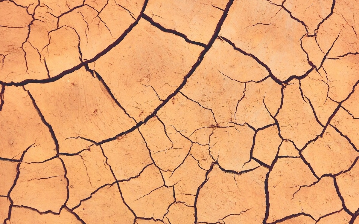 Où en est l’agriculture face au changement climatique ? Bibliothèque publique d'information Paris