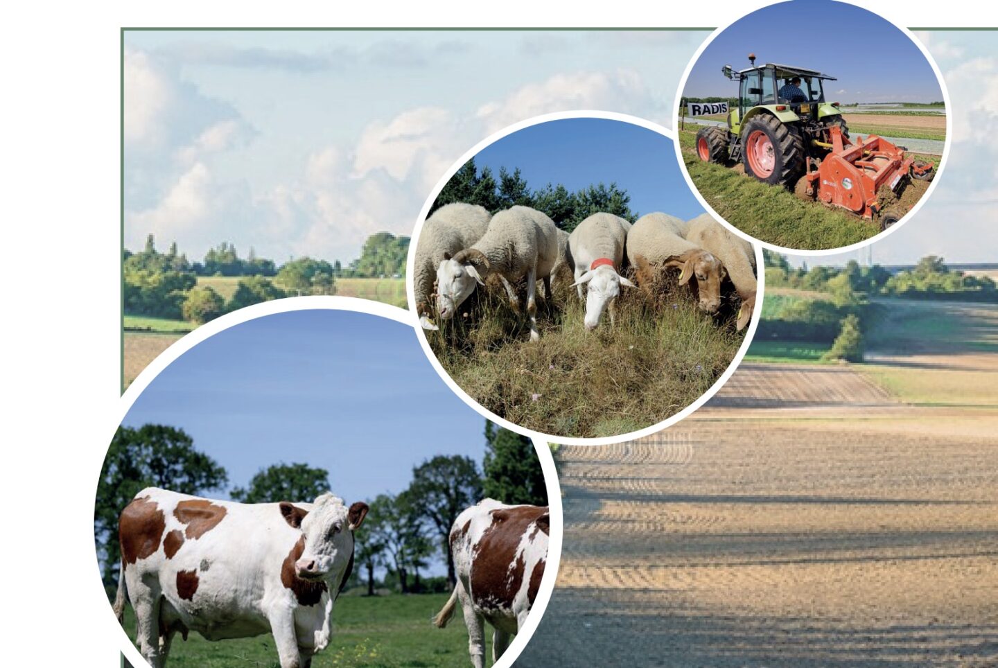 Paiements pour Services Environnementaux (PSE)